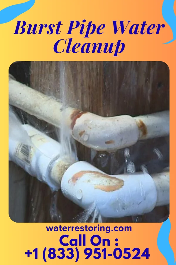 Burst Pipe Water Cleanup in Morrisville, PA