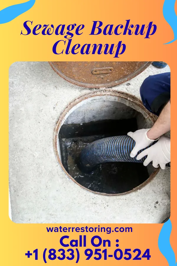 Sewage Backup Cleanup in Morrisville, PA