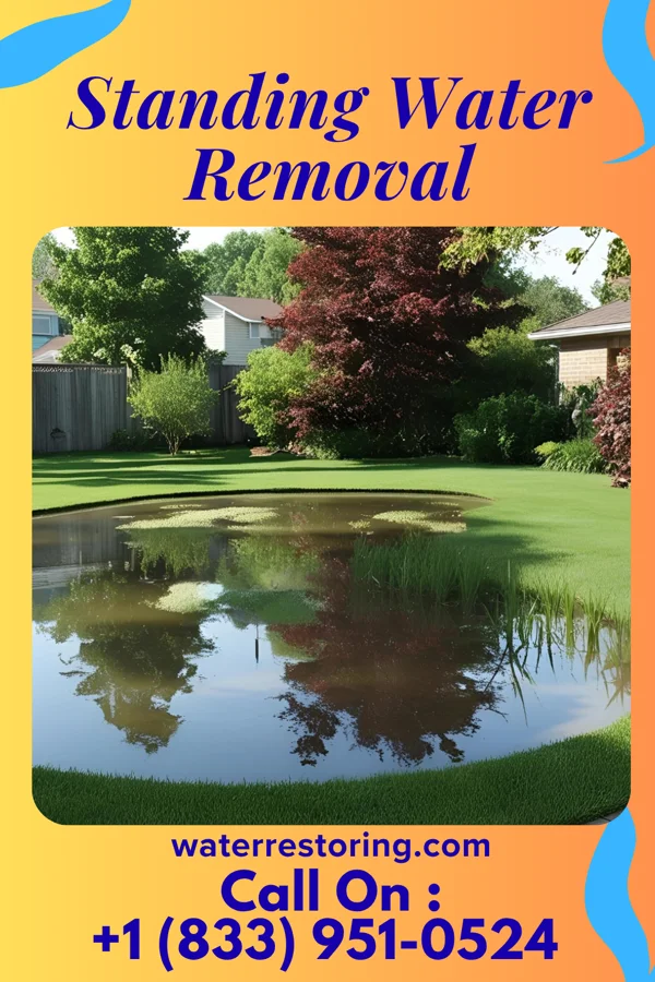 Standing Water Removal in Morrisville, PA